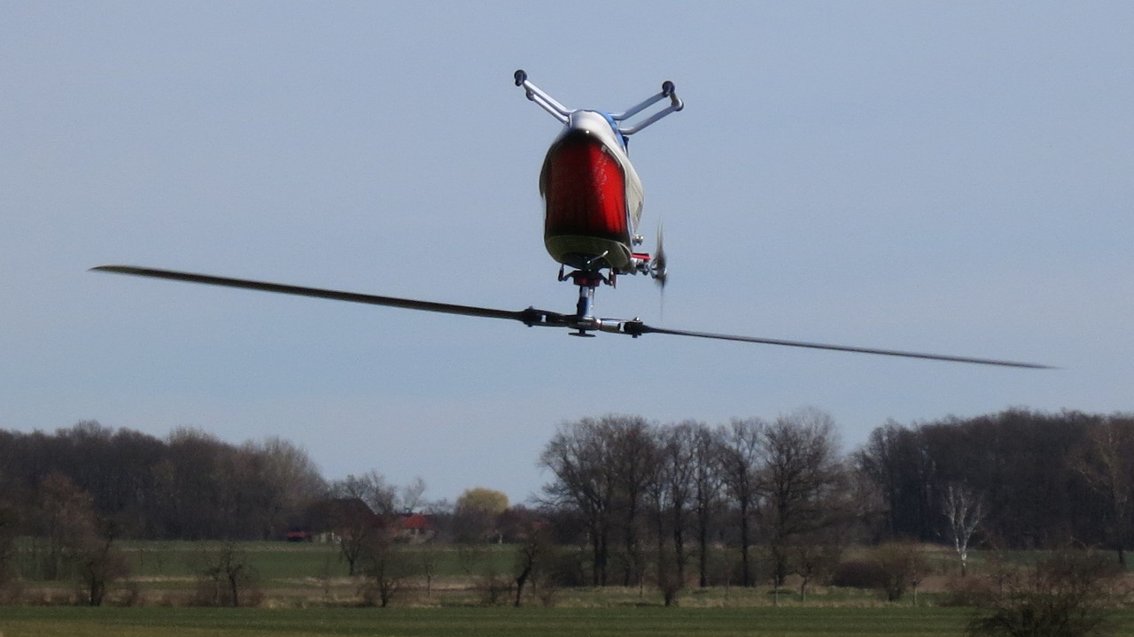 Rex550XL